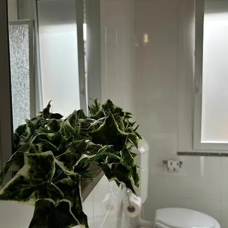 Summer Dream Aparthotel