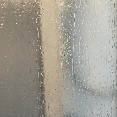 Summer Dream 3* קרביה